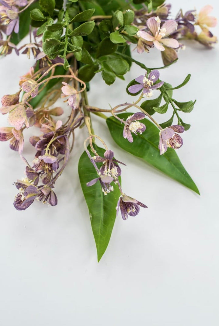 Lavender Waxflower Bush - 17" - Greenery Market23174-LV