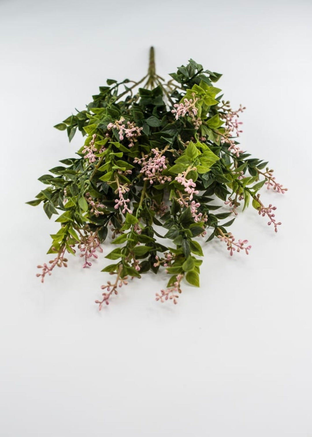 Leaf and seeds bush - pink - Greenery MarketFl5965 - pg