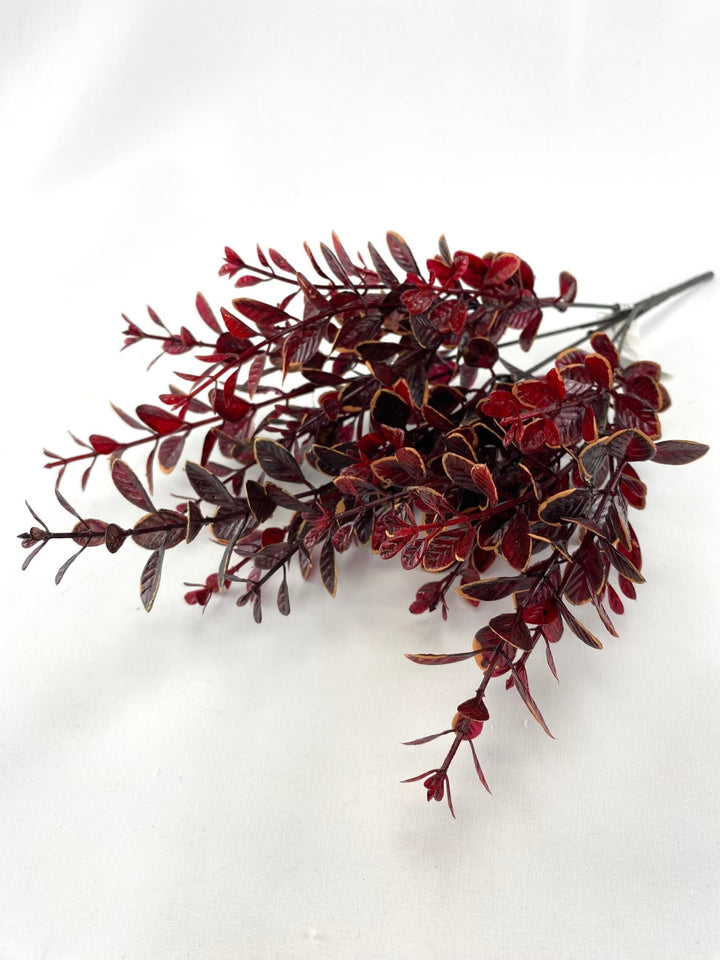 Leaf bush burgundy cream edge - myrtle - Greenery Marketgreenery28586