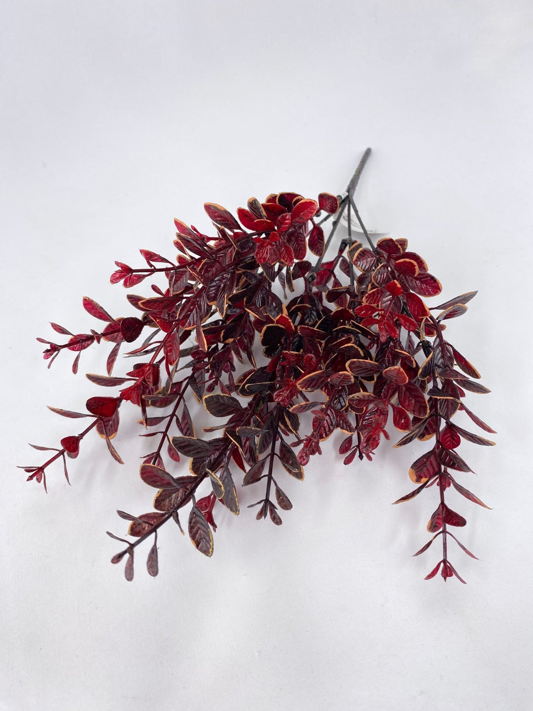 Leaf bush burgundy cream edge - myrtle - Greenery Marketgreenery28586