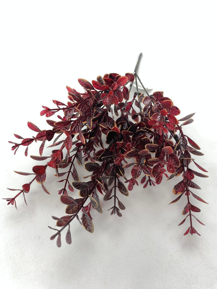 Leaf bush burgundy cream edge - myrtle - Greenery Marketgreenery28586