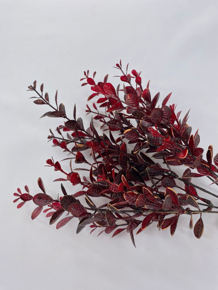 Leaf bush burgundy cream edge - myrtle - Greenery Marketgreenery28586