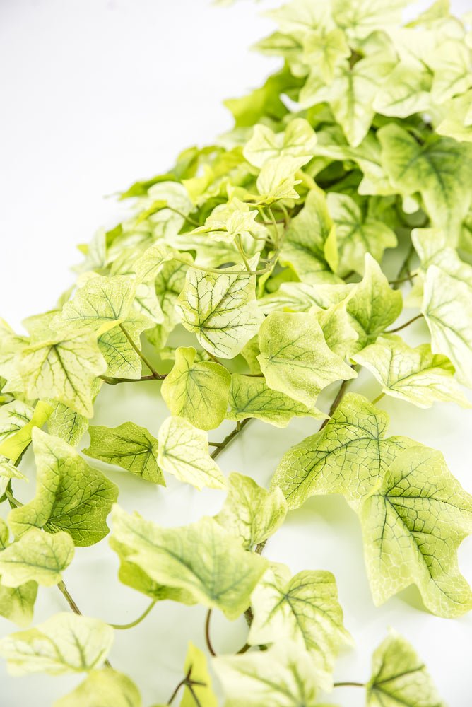 Lemon Lime Hanging Green Ivy Bush - 39” - Greenery Market