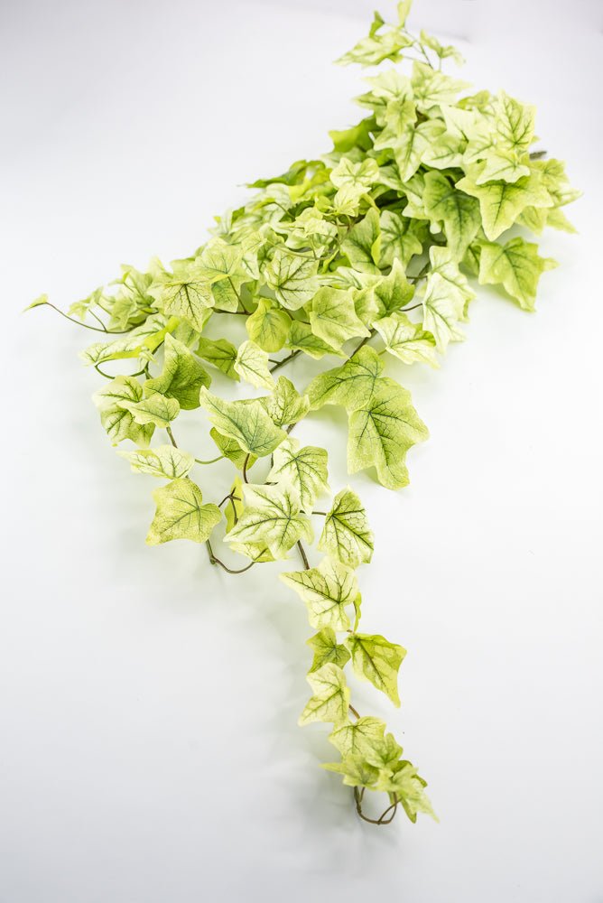 hanging lemon plant Lemon Lime Hanging Green Ivy Bush - 39”