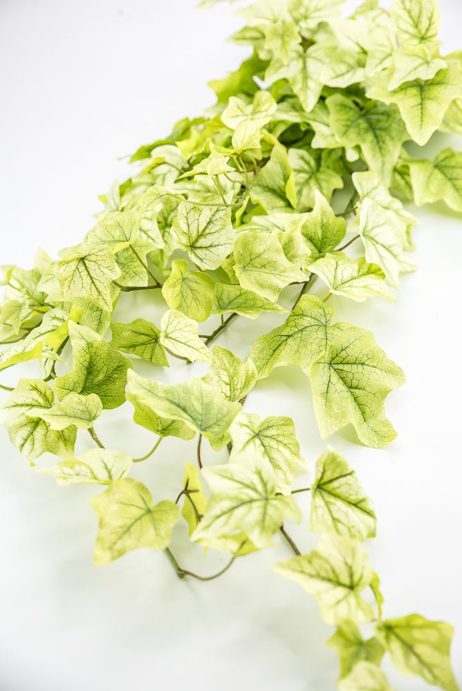 bright green hanging plant Lemon Lime Hanging Green Ivy Bush - 39”
