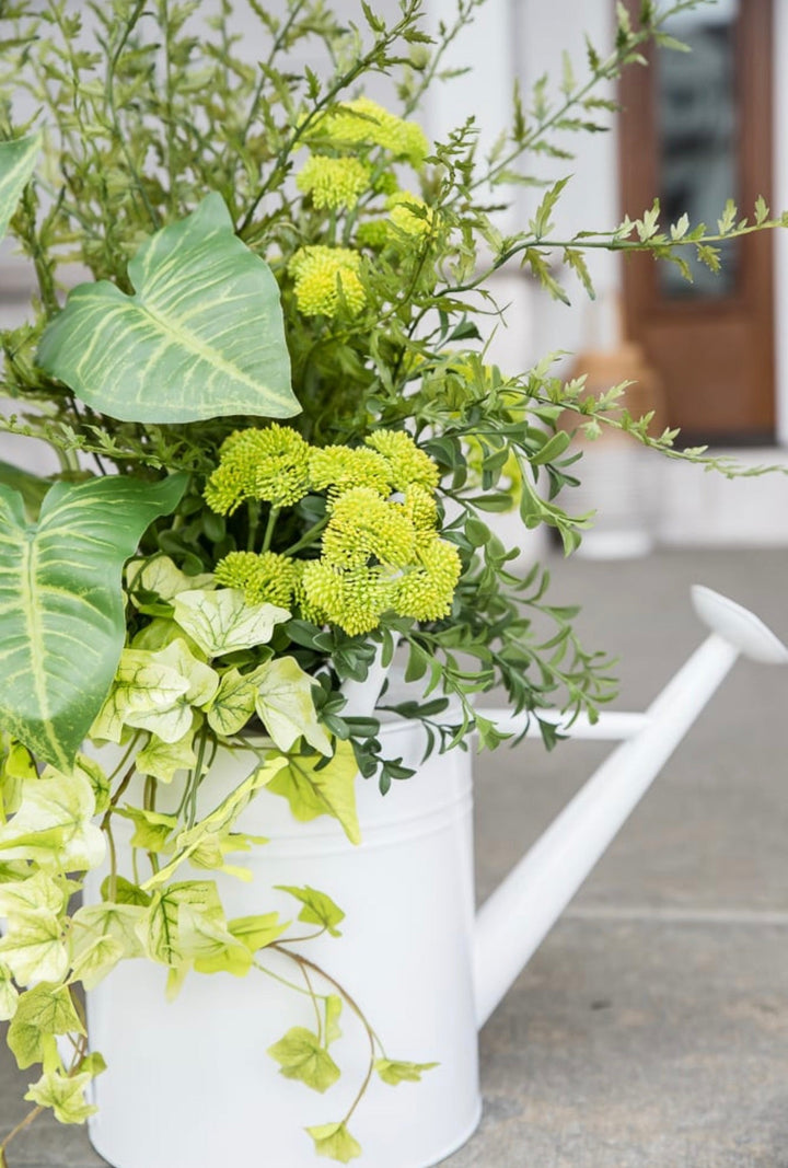 Lemon Lime Ivy Spray x Bulk 6 Sprays - Greenery MarketMTF24584 GRYE