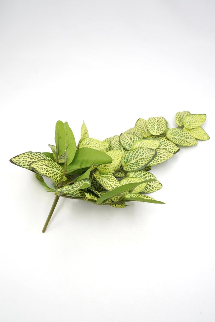 Lime Green Fittonia Hanging Bush - 14" - Greenery MarketArtificial Flowers13677LMGN