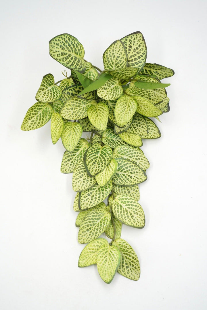 Lime Green Fittonia Hanging Bush - 14" - Greenery MarketArtificial Flowers13677LMGN
