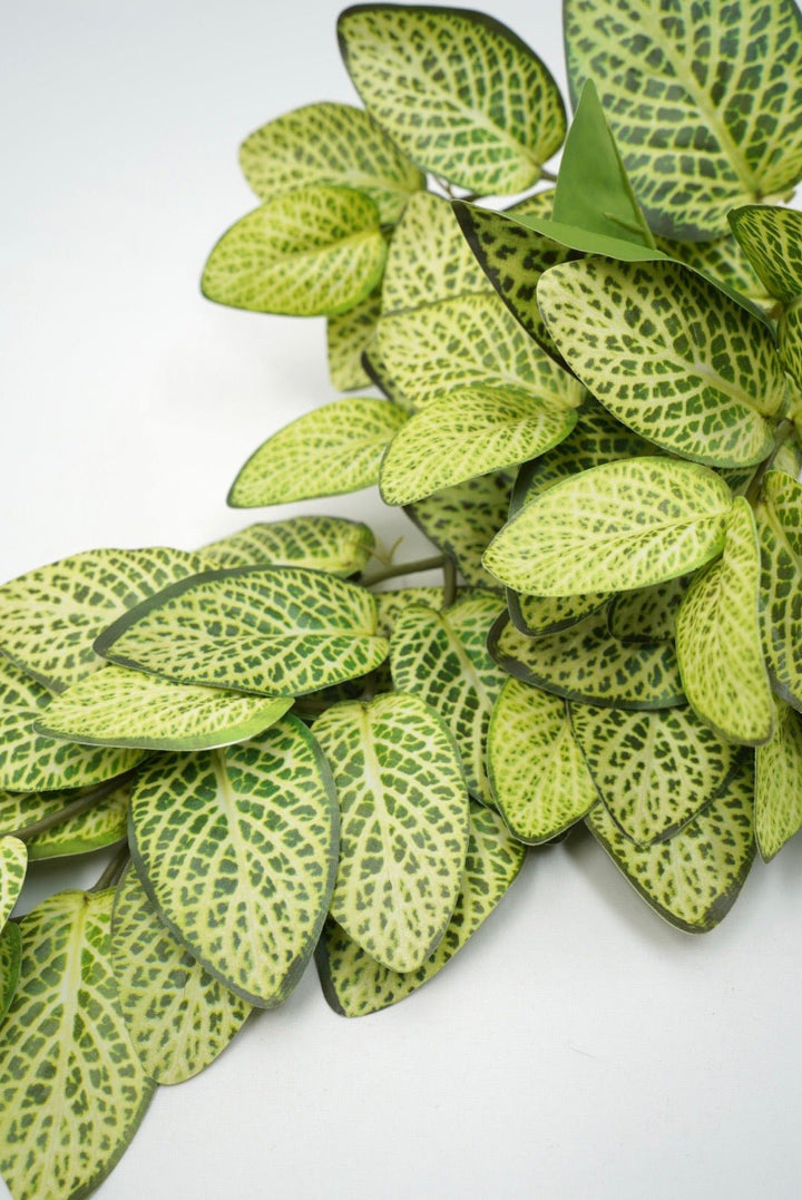 Lime Green Fittonia Hanging Bush - 14" - Greenery MarketArtificial Flowers13677LMGN