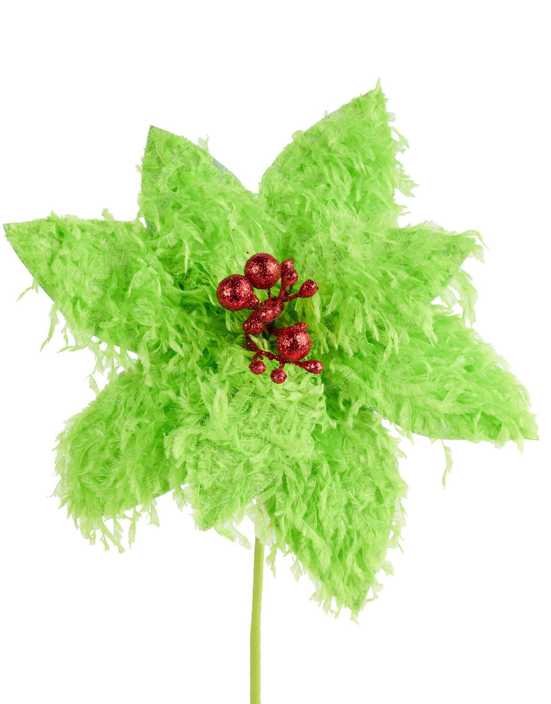 Lime green furry fluffy poinsettias - Greenery MarketXS410251