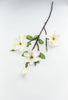 Magnolia flower spray - Greenery Market2291023WH