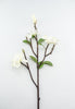 Magnolia flower spray - Greenery Market2291023WH