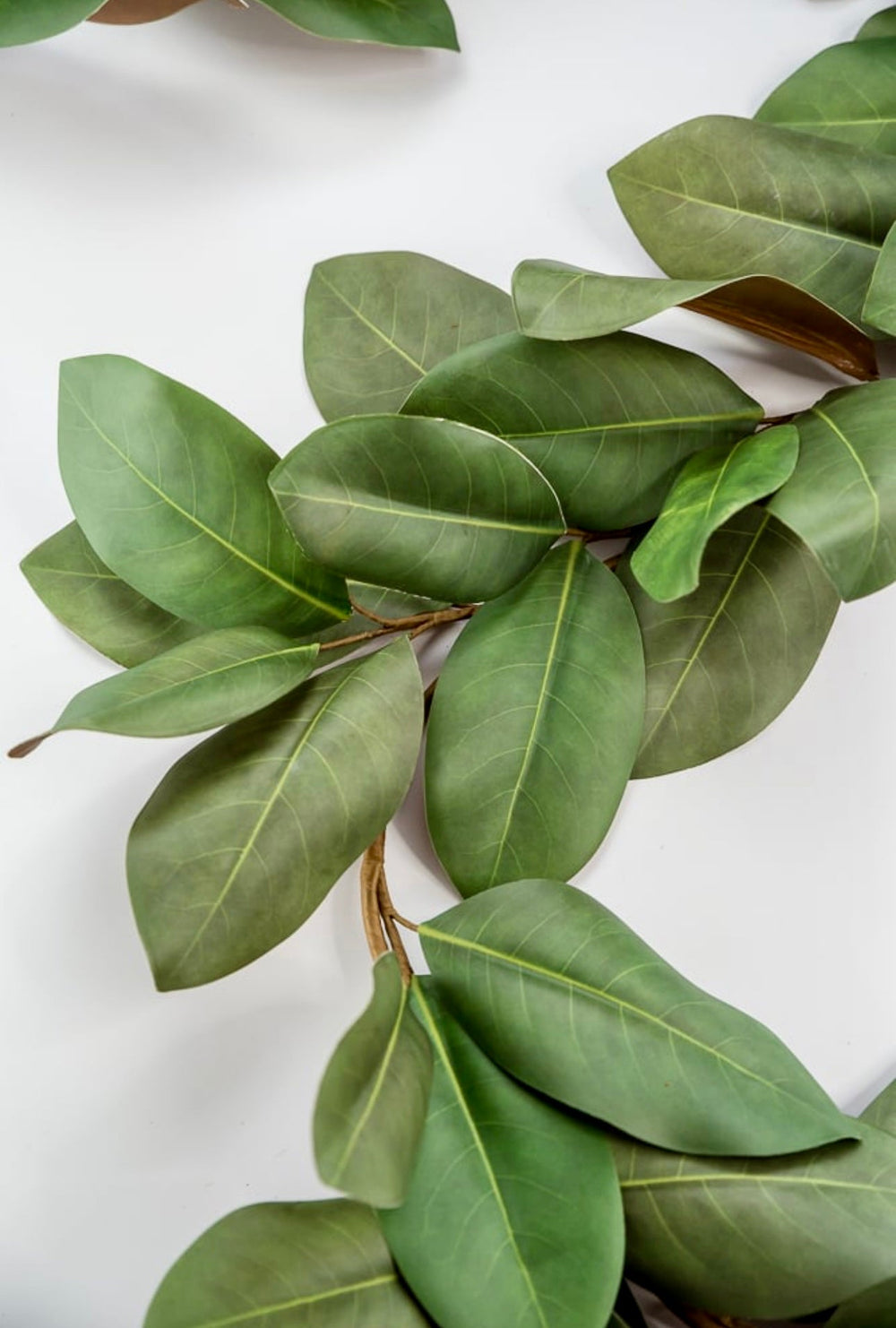 Magnolia leaf garland, 5 foot magnolia leaves - Greenery Marketspring summer greeneryFl5343-g