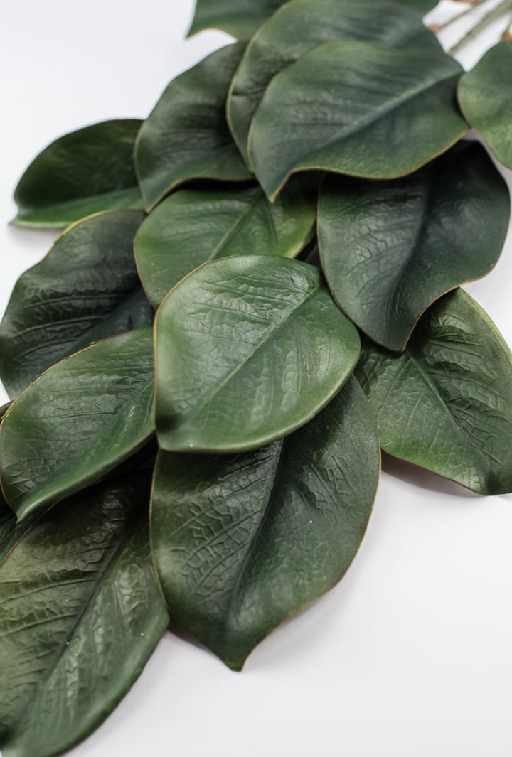 Magnolia leaves spray, magnolia leaf - Greenery MarketgreeneryFL3530 - G