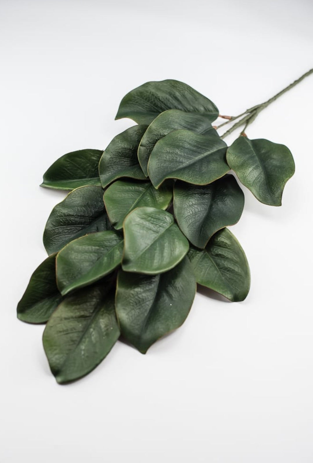 Magnolia leaves spray, magnolia leaf - Greenery MarketgreeneryFL3530 - G