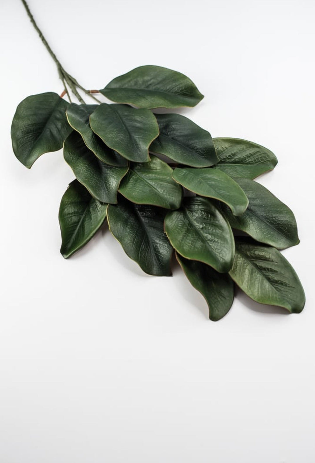 Magnolia leaves spray, magnolia leaf - Greenery MarketgreeneryFL3530 - G