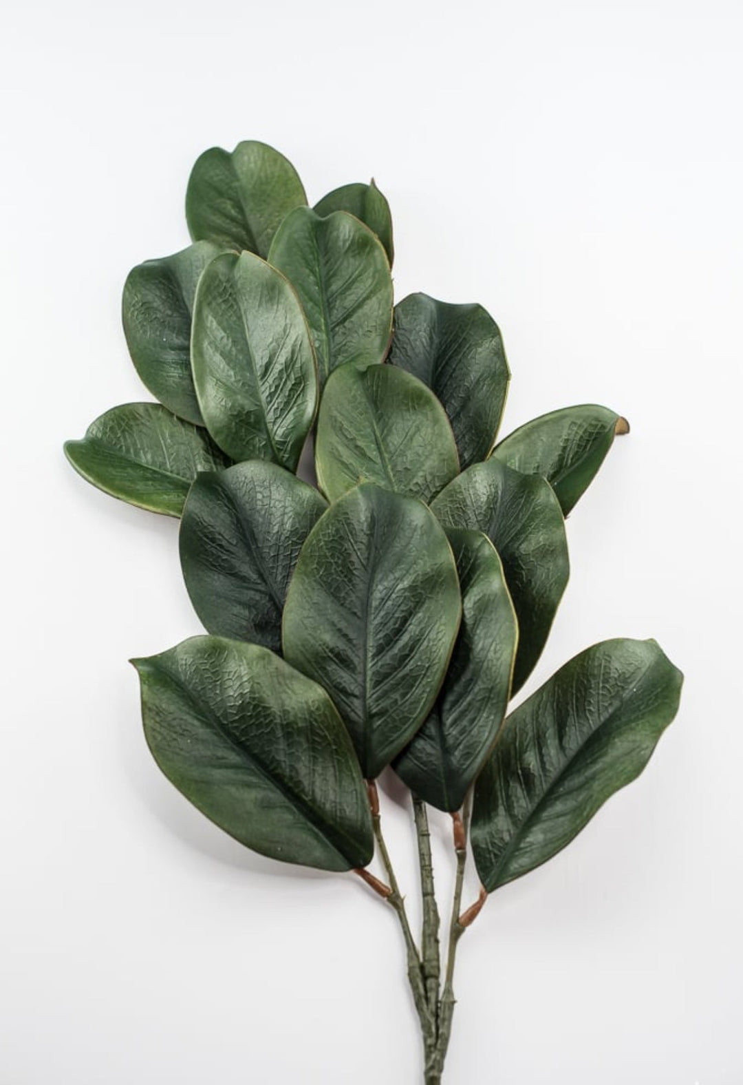 Magnolia leaves spray, magnolia leaf - Greenery MarketgreeneryFL3530 - G