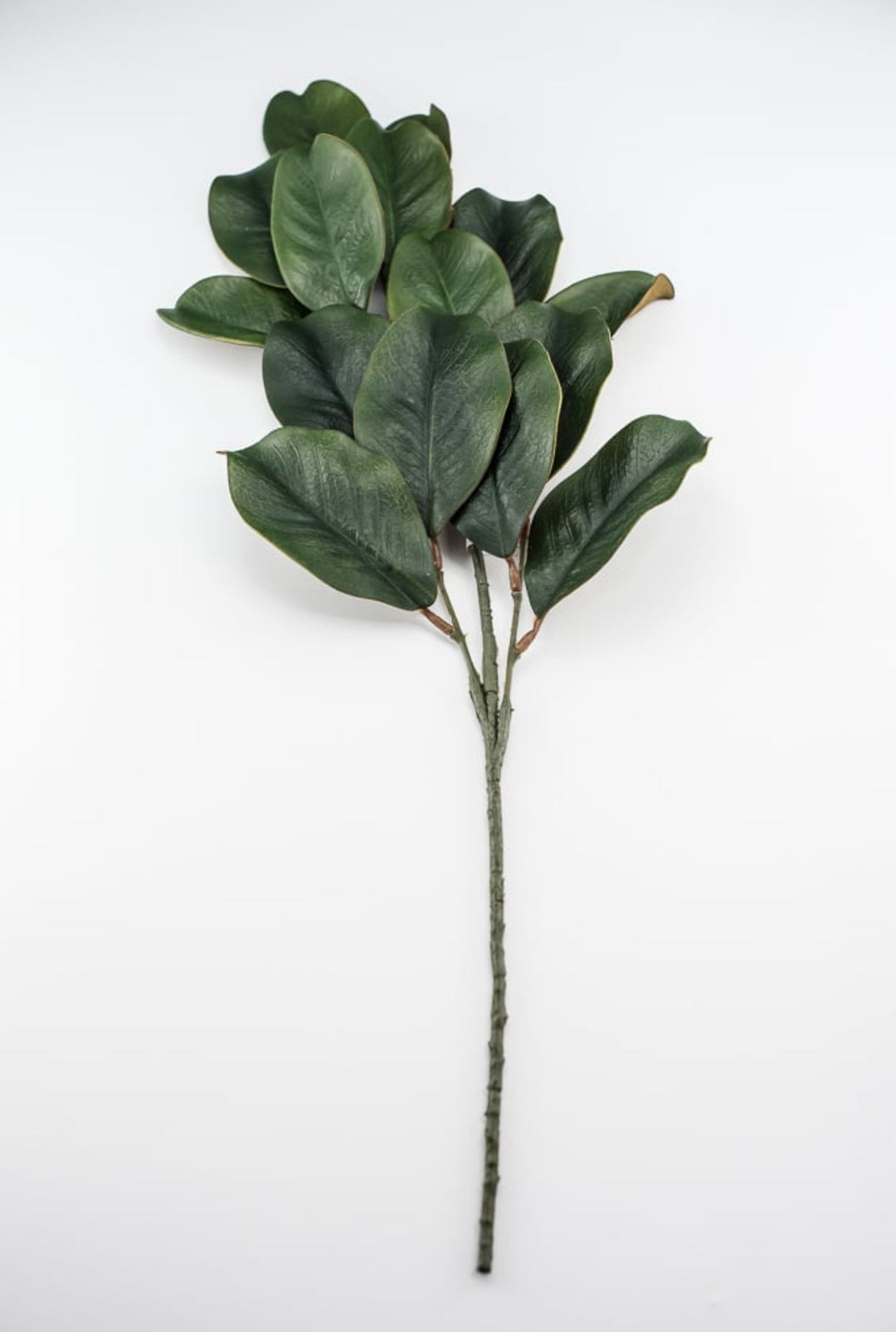 Magnolia leaves spray, magnolia leaf - Greenery MarketgreeneryFL3530 - G