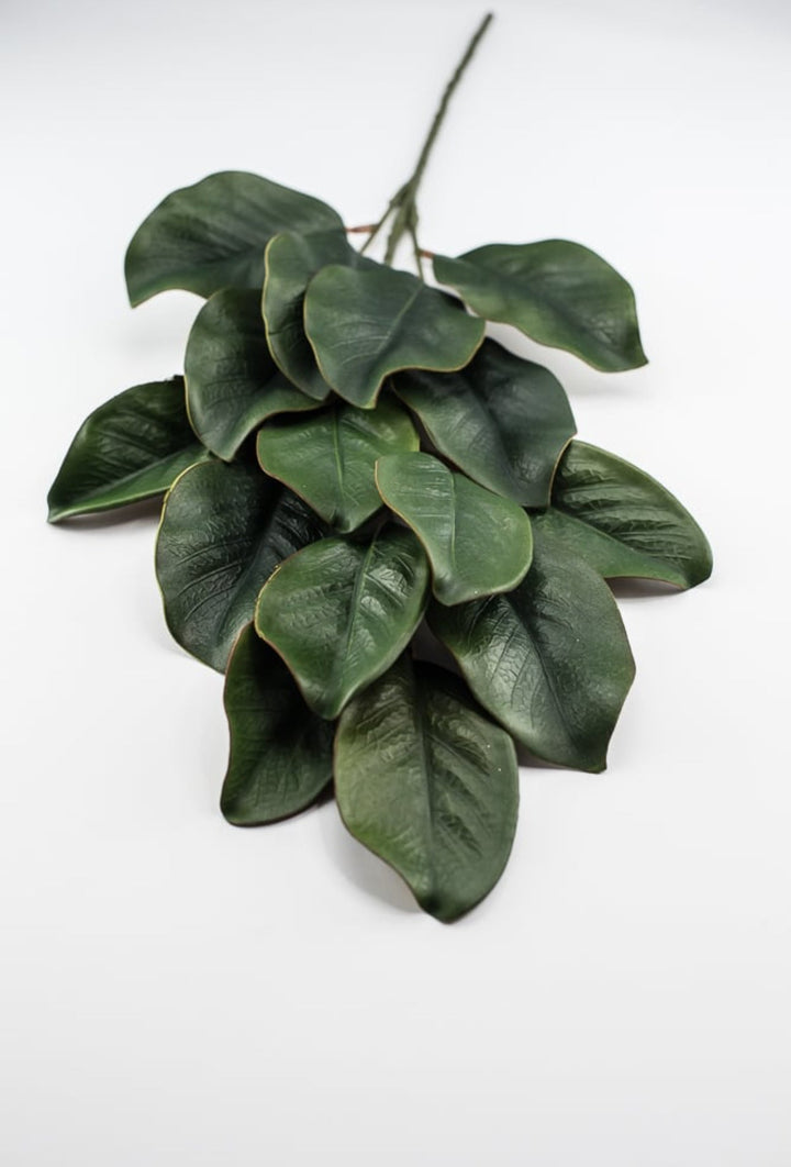 Magnolia leaves spray, magnolia leaf - Greenery MarketgreeneryFL3530 - G