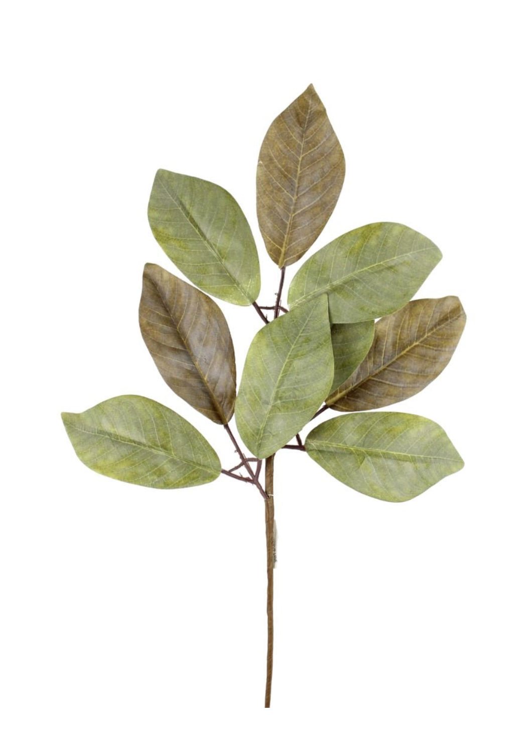 Magnolia leaves spray - Greenery MarketArtificial Flora228868