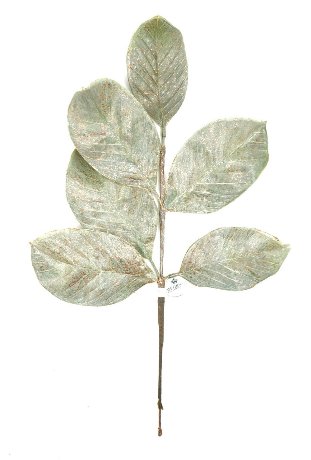 Magnolia leaves, with metallic - Greenery MarketWinter and ChristmasMtx57402VEGD