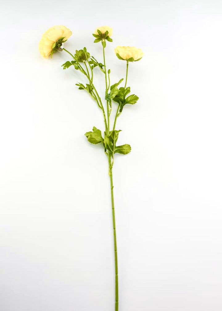 Mango ranunculus spray - Greenery Market4744-man