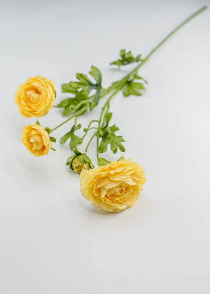 Mango ranunculus spray - Greenery Market4744-man