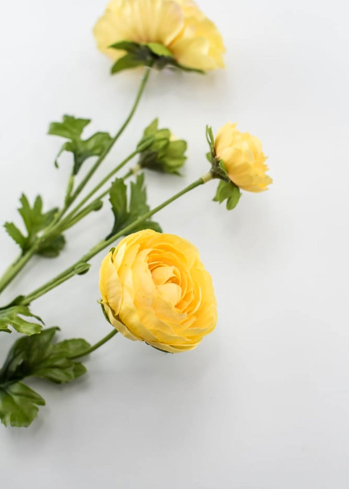 Mango ranunculus spray - Greenery Market4744-man