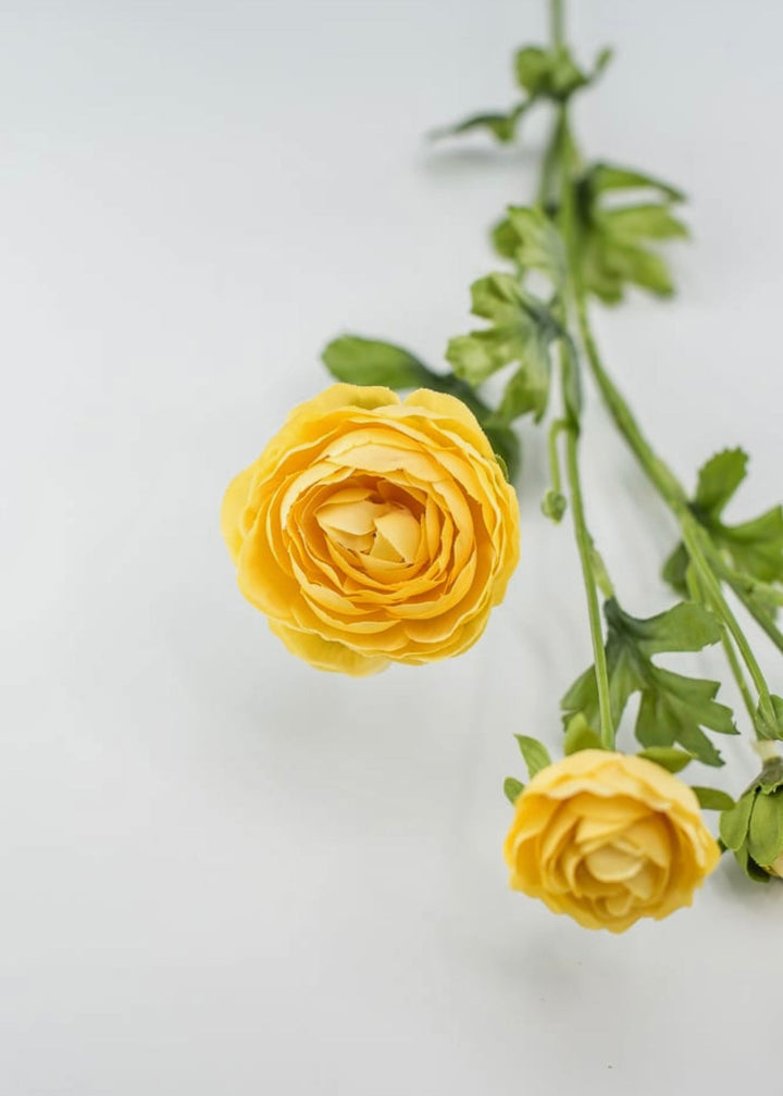 Mango ranunculus spray - Greenery Market4744-man