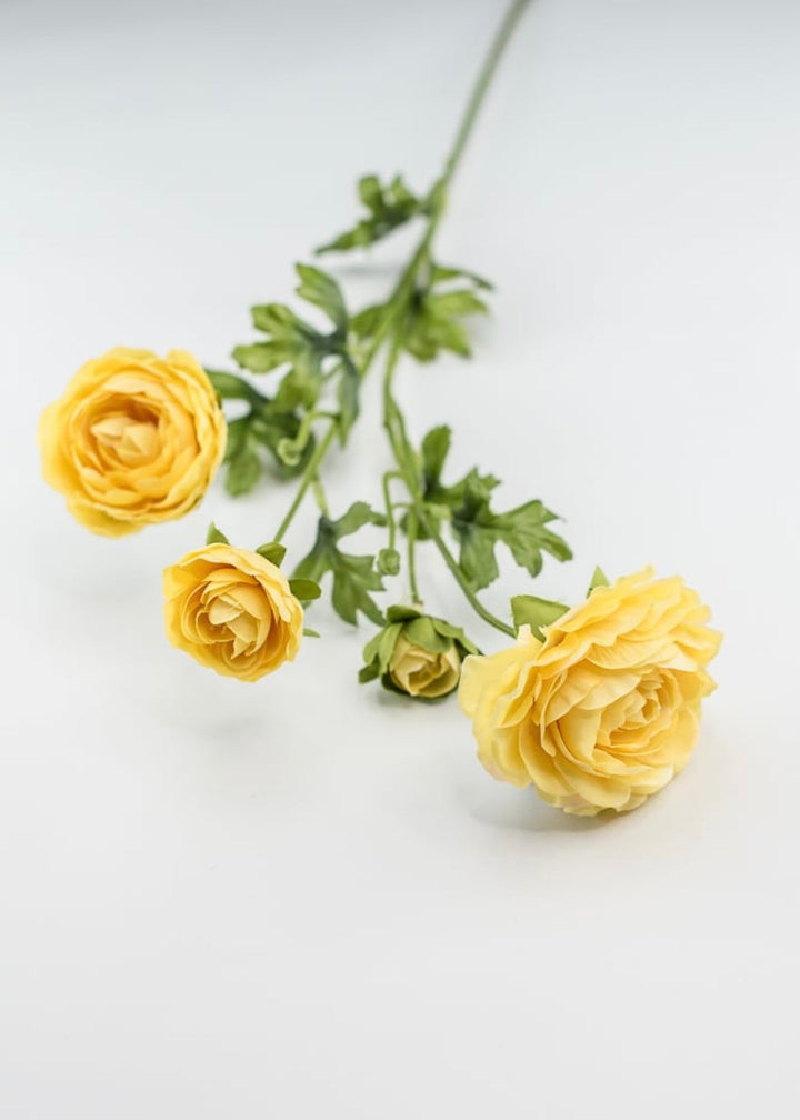 Mango ranunculus spray - Greenery Market4744-man