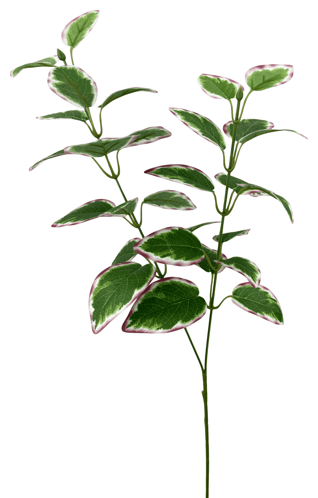 Mauve & Green Vinca Leaves Spray - 27" - Greenery MarketArtificial Flowers13694MVGN