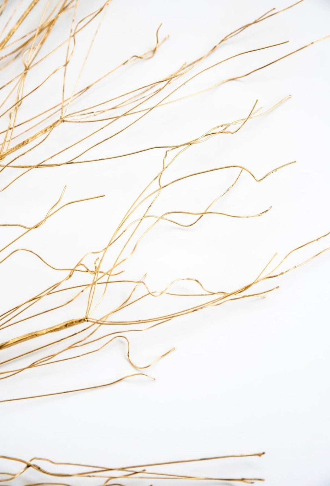 Metallic twigs spray gold - Greenery MarketXg870 GO