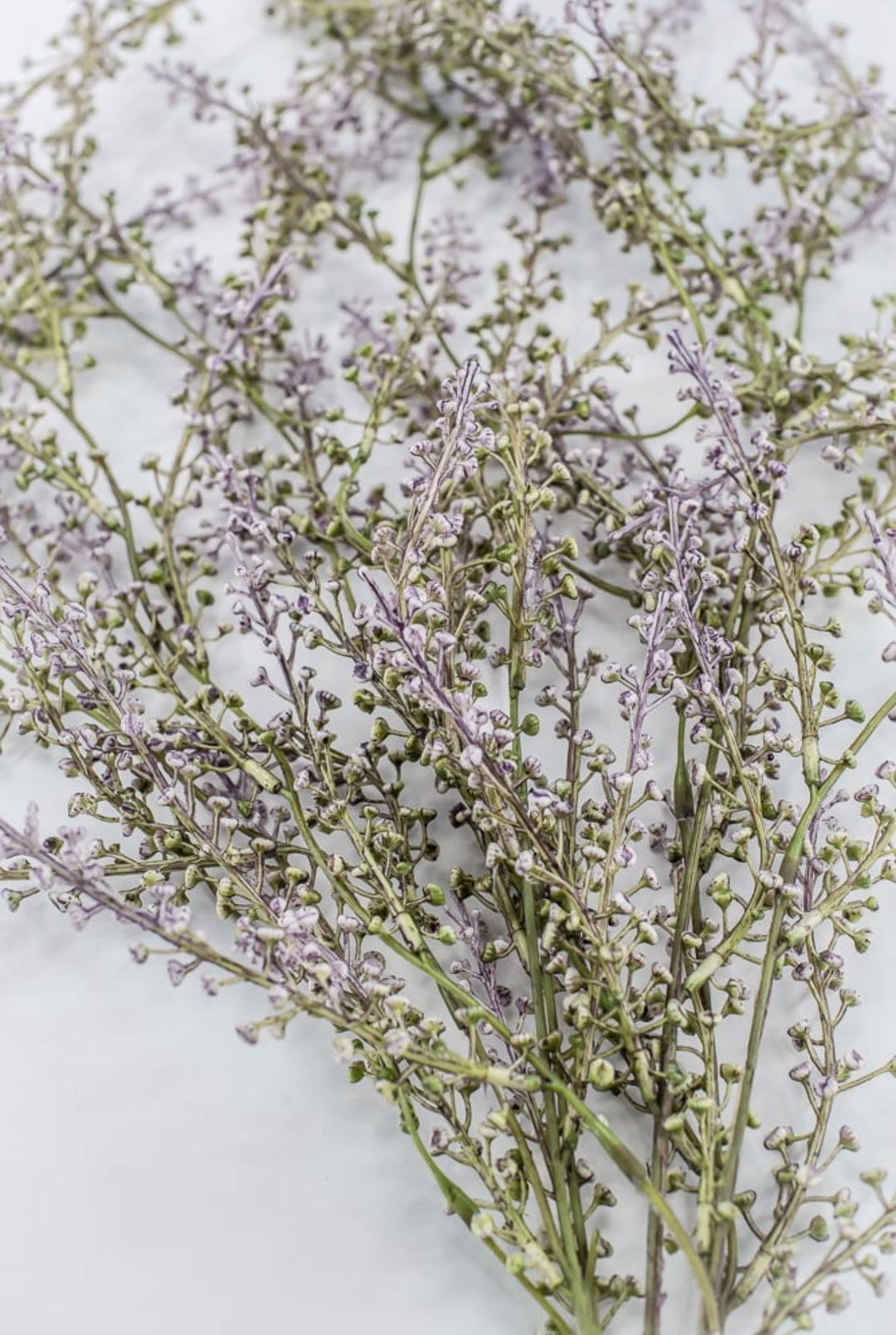 Mini Berry Hanging Bush - Purple - Greenery Market85002-PU