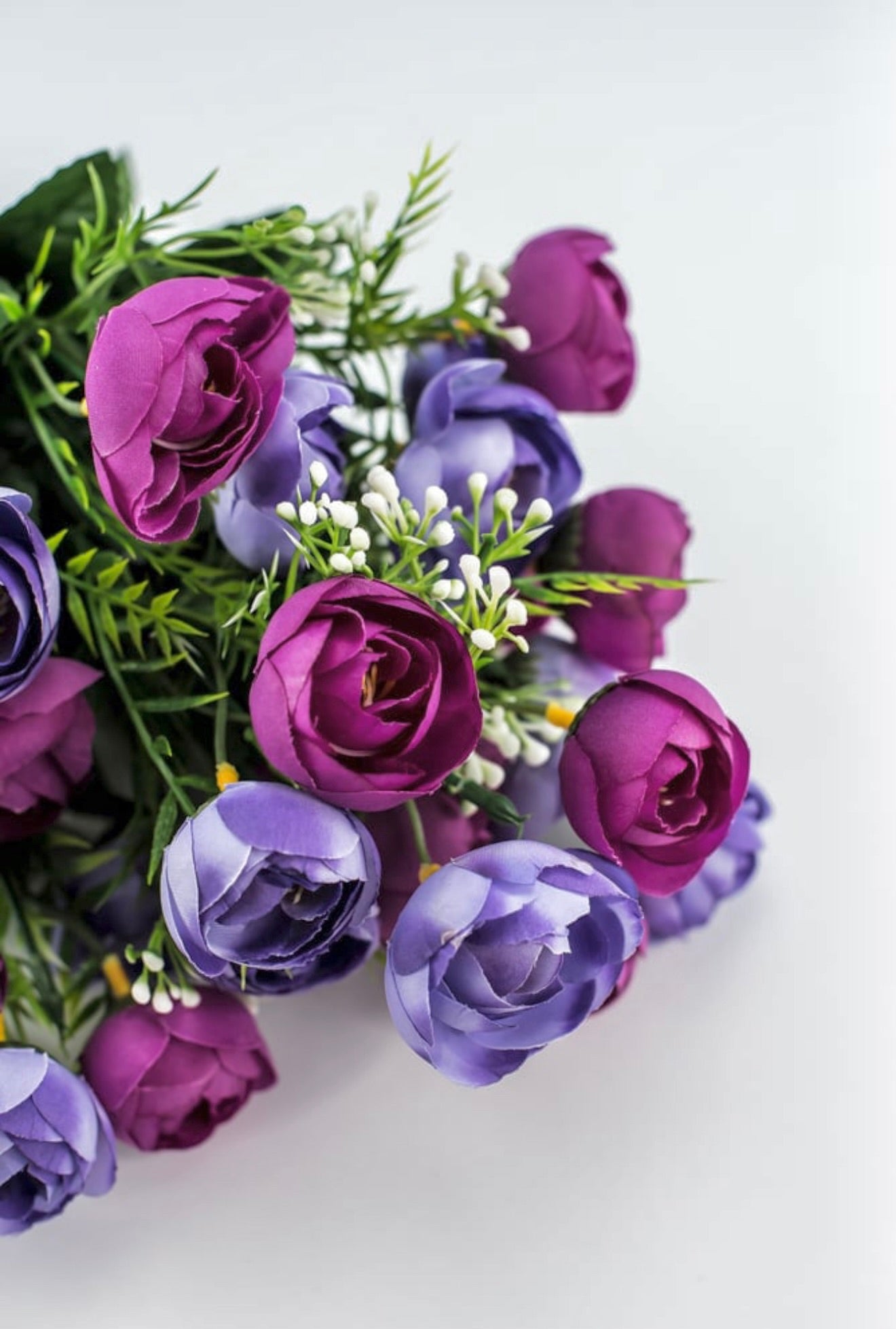 Mini Camellia Flower Bush - Purple Magenta - Greenery Market