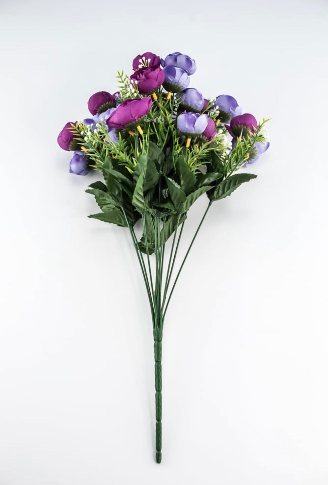 Mini Camellia Flower Bush - Purple Magenta - Greenery Market