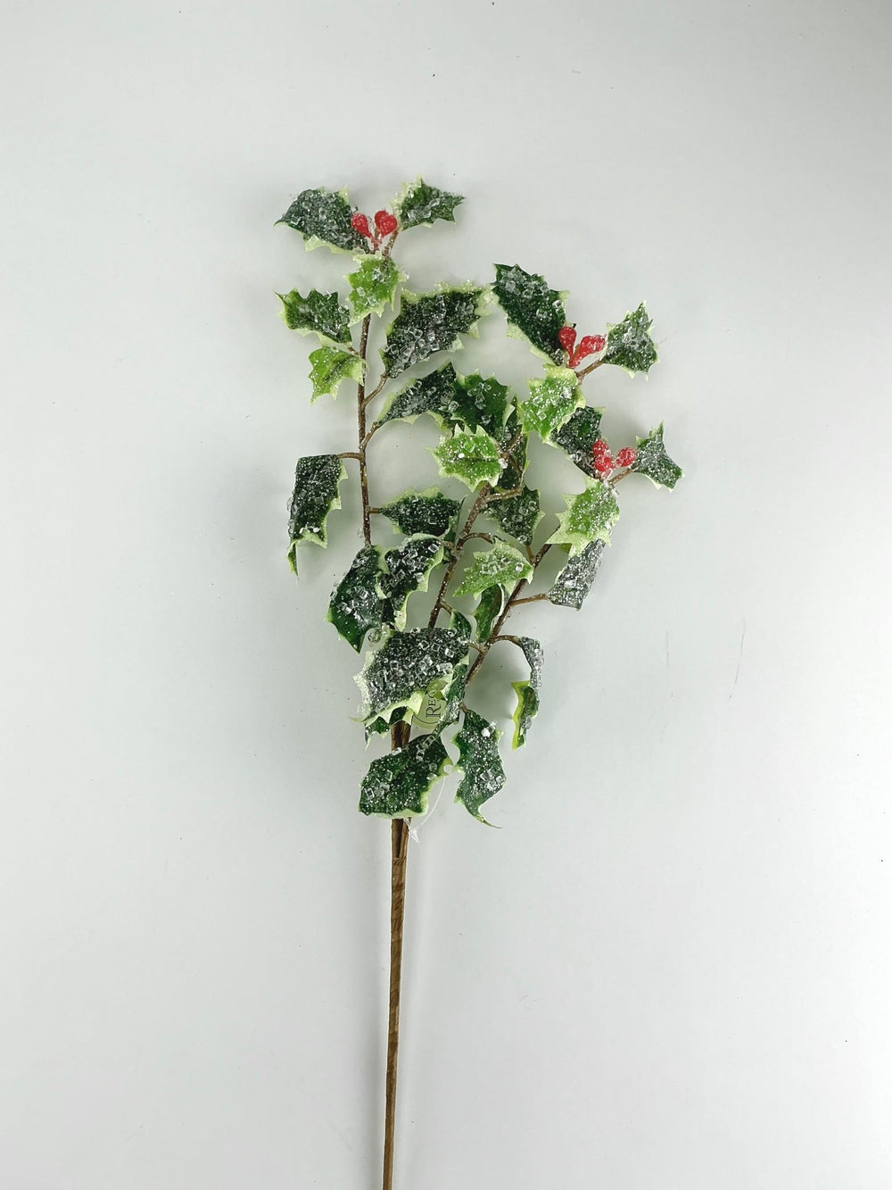 Mini, iced, holly spray - variegated - Greenery MarketMTX74457 VAR