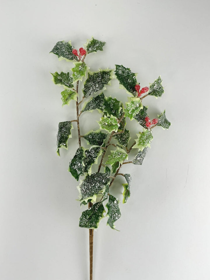 Mini, iced, holly spray - variegated - Greenery MarketMTX74457 VAR