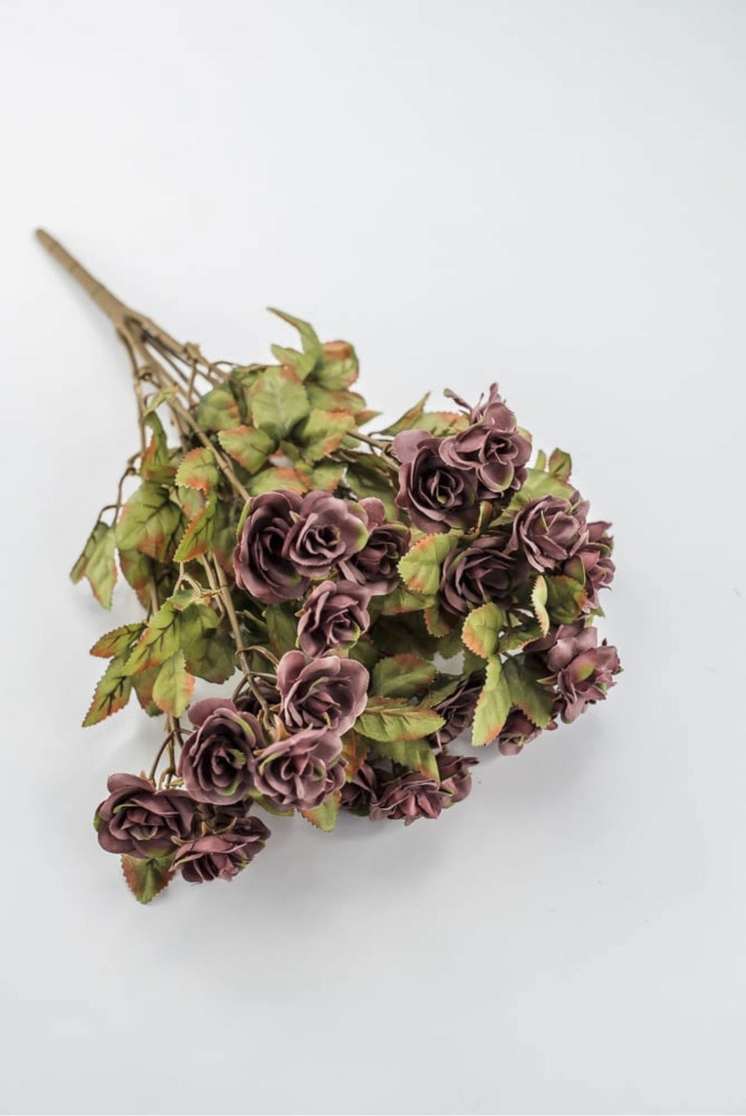 Mini Rose Bush - Dusty Mauve Purple - Greenery Market85206-MV