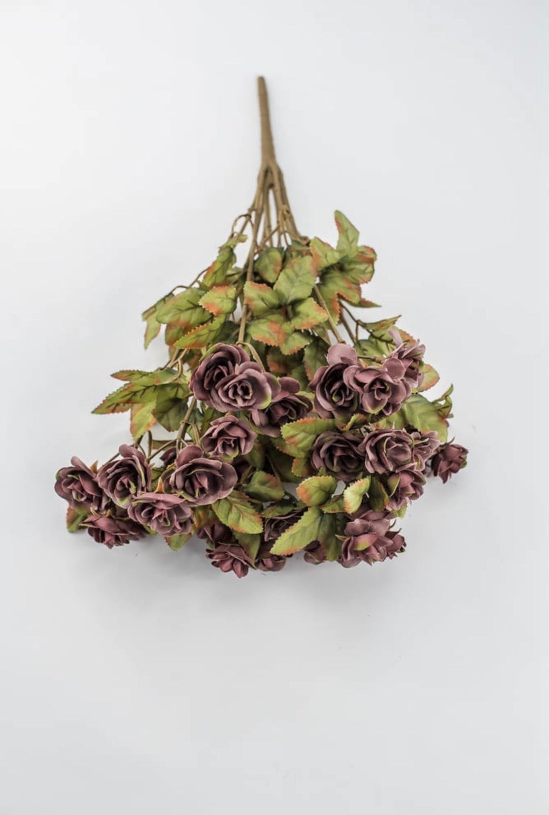 Mini Rose Bush - Dusty Mauve Purple - Greenery Market85206-MV