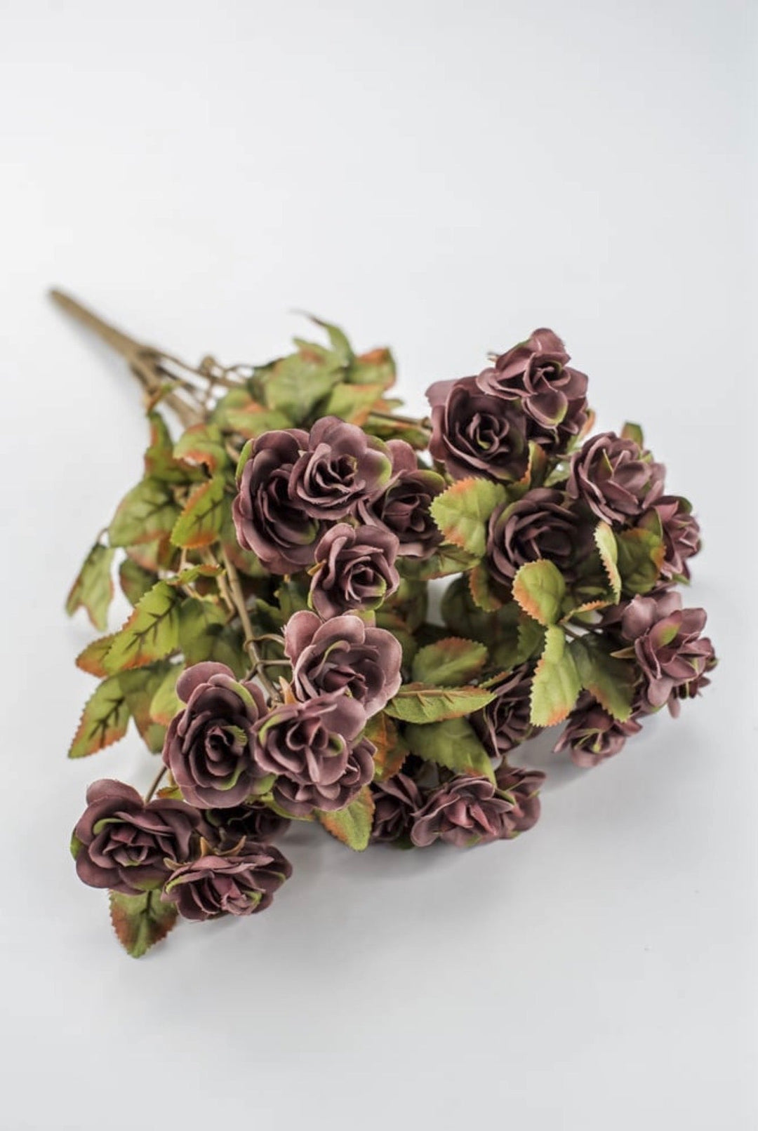 Mini Rose Bush - Dusty Mauve Purple - Greenery Market85206-MV
