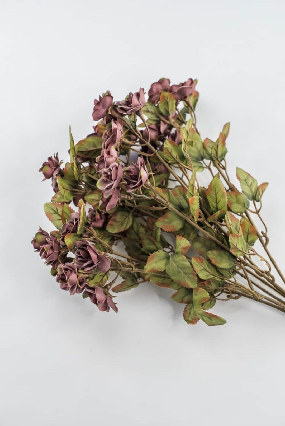 Mini Rose Bush - Dusty Mauve Purple - Greenery Market85206-MV