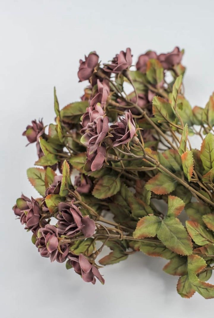 Mini Rose Bush - Dusty Mauve Purple - Greenery Market85206-MV