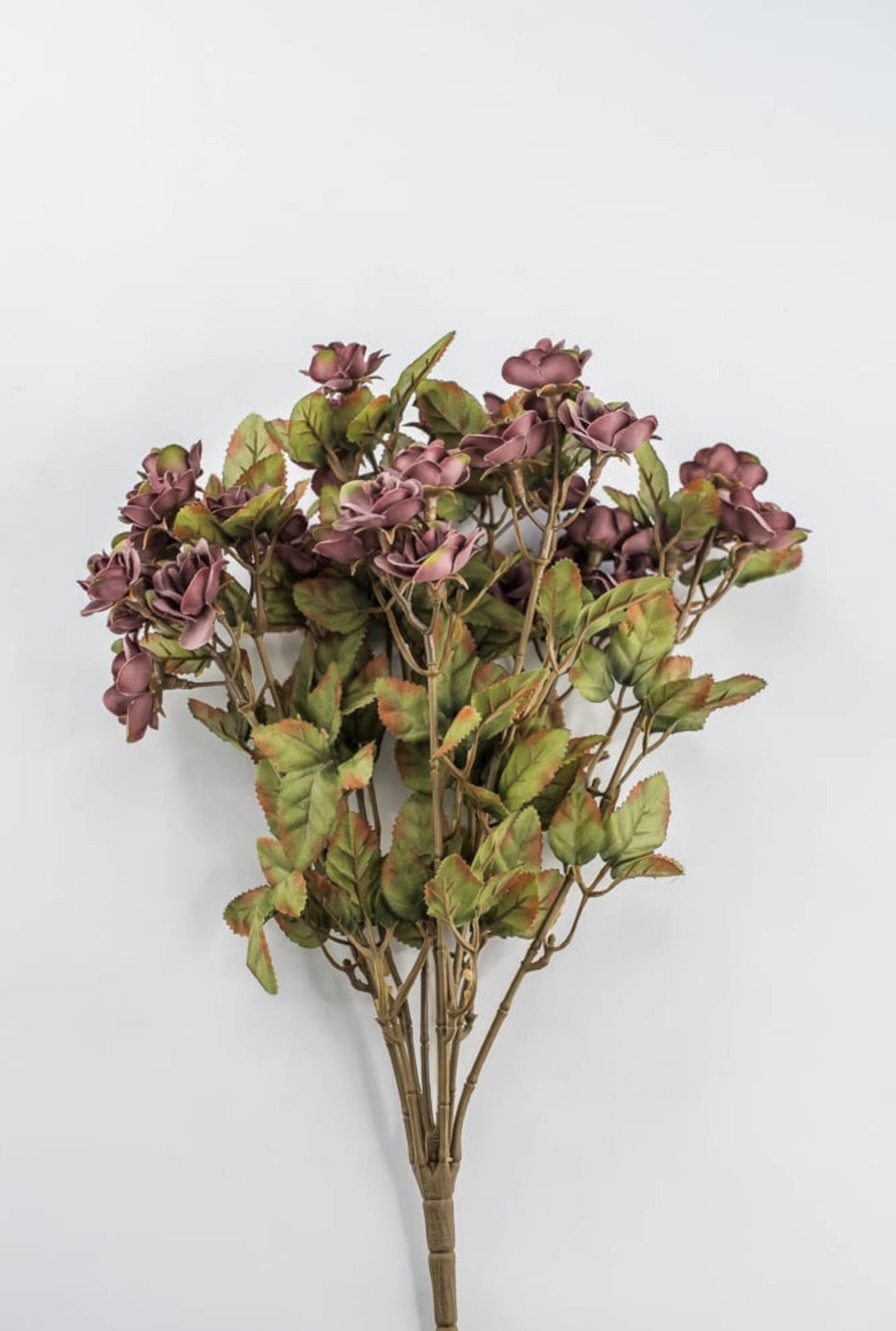 Mini Rose Bush - Dusty Mauve Purple - Greenery Market85206-MV