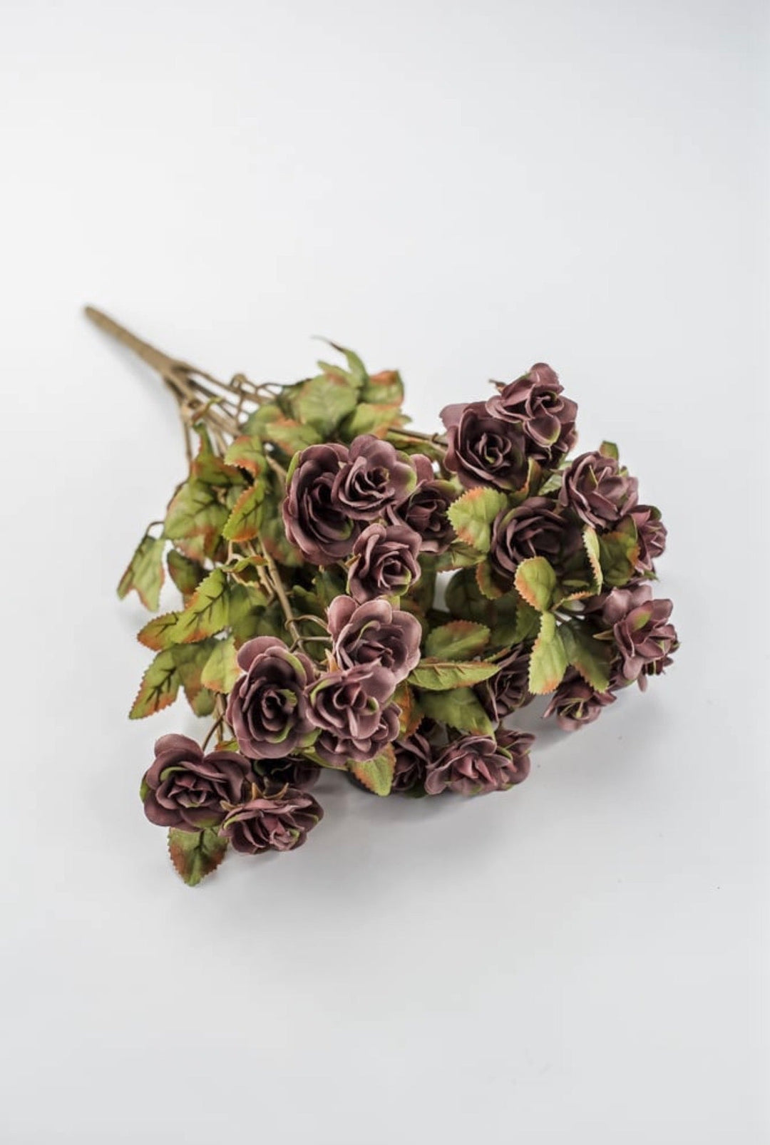 Mini Rose Bush - Dusty Mauve Purple - Greenery Market85206-MV