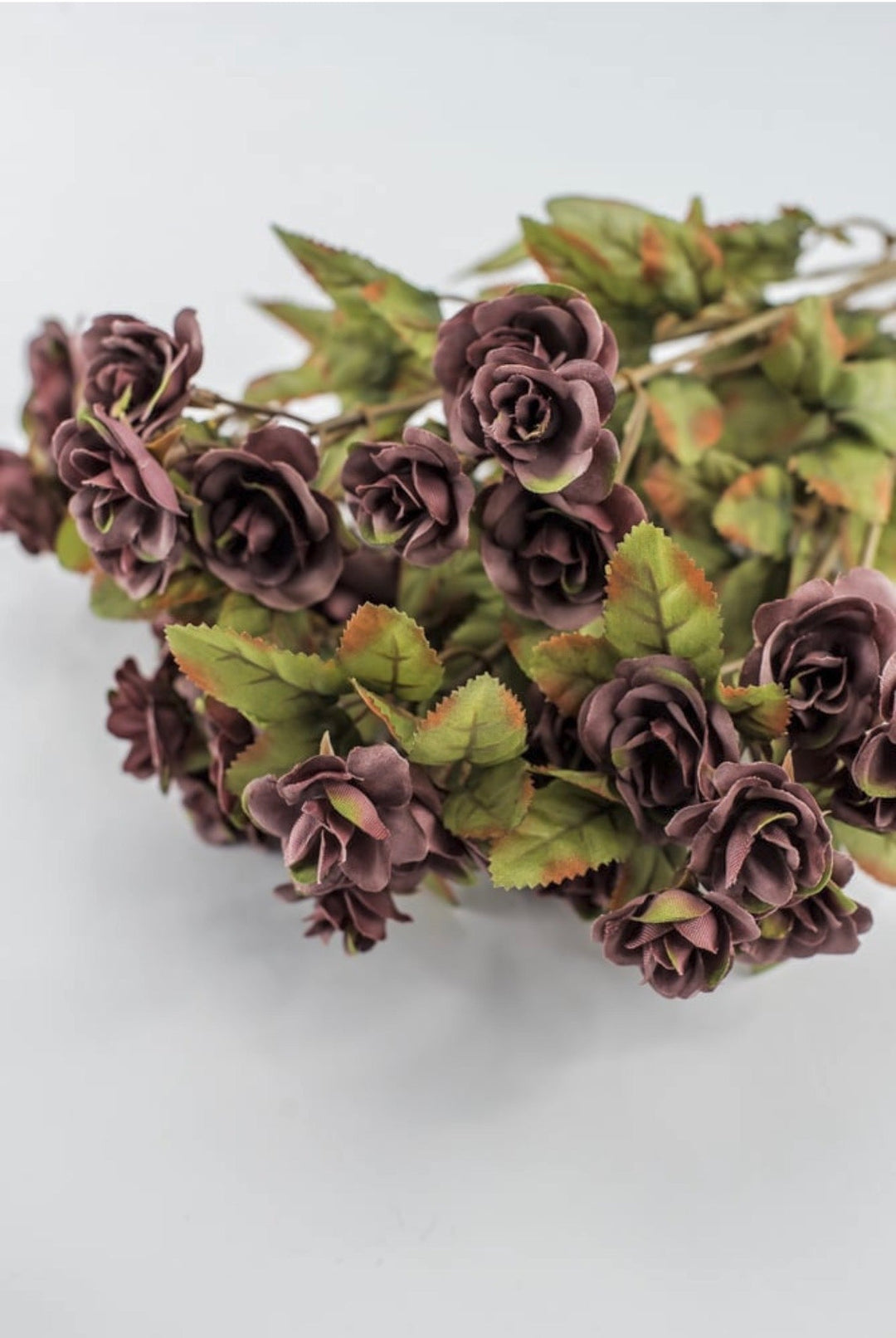 Mini Rose Bush - Dusty Mauve Purple - Greenery Market85206-MV