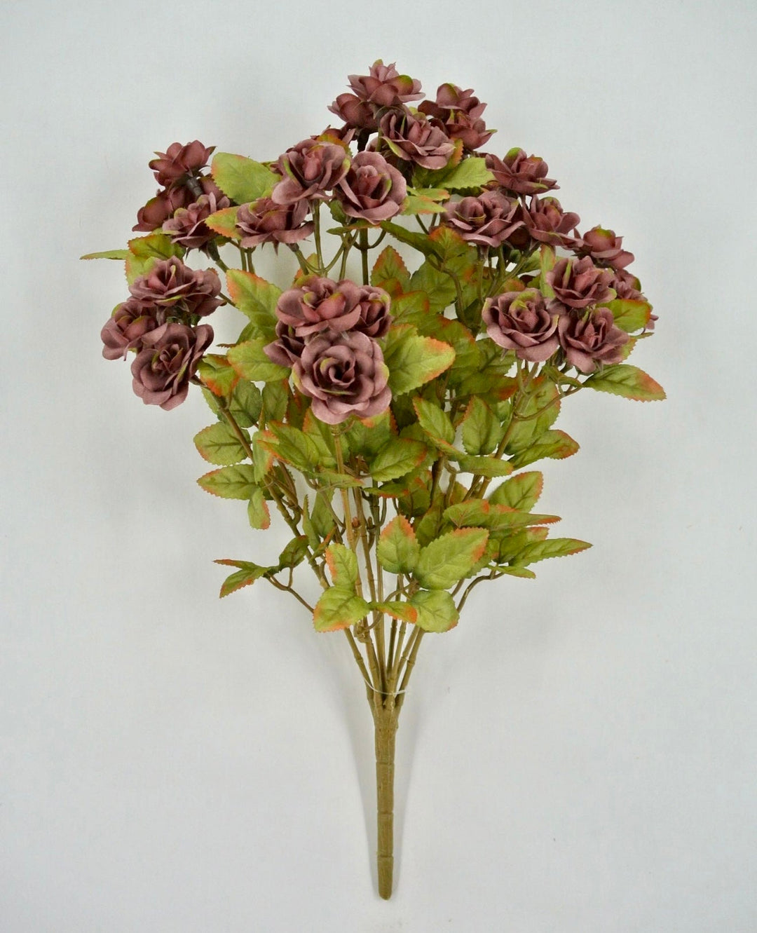 Mini Rose Bush - Mauve - Greenery Market85206 - MV