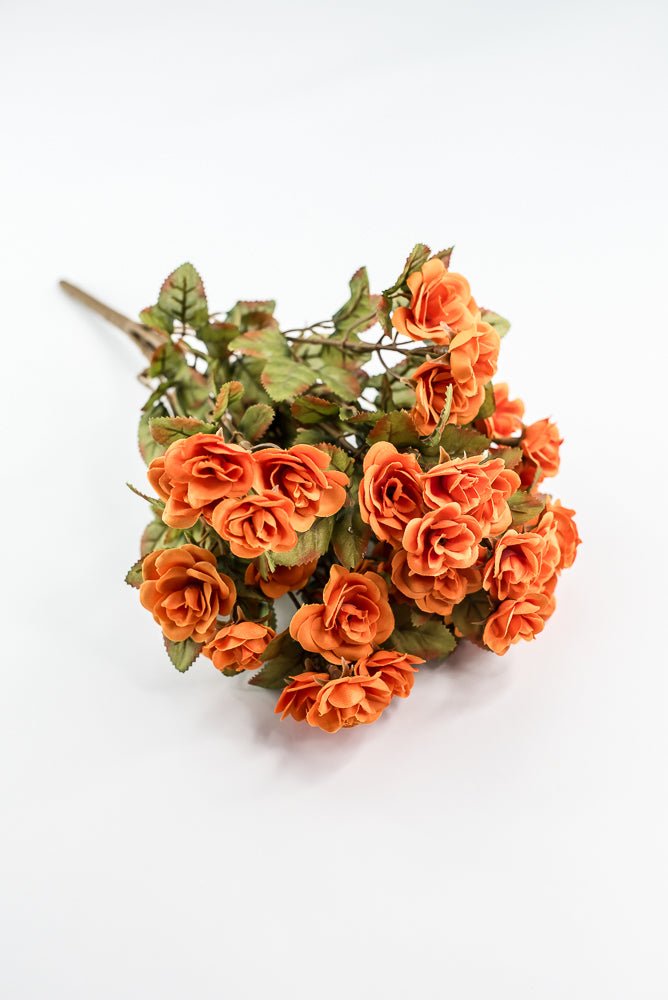 Mini Rose Bush - Orange - Greenery Market85206 - OR