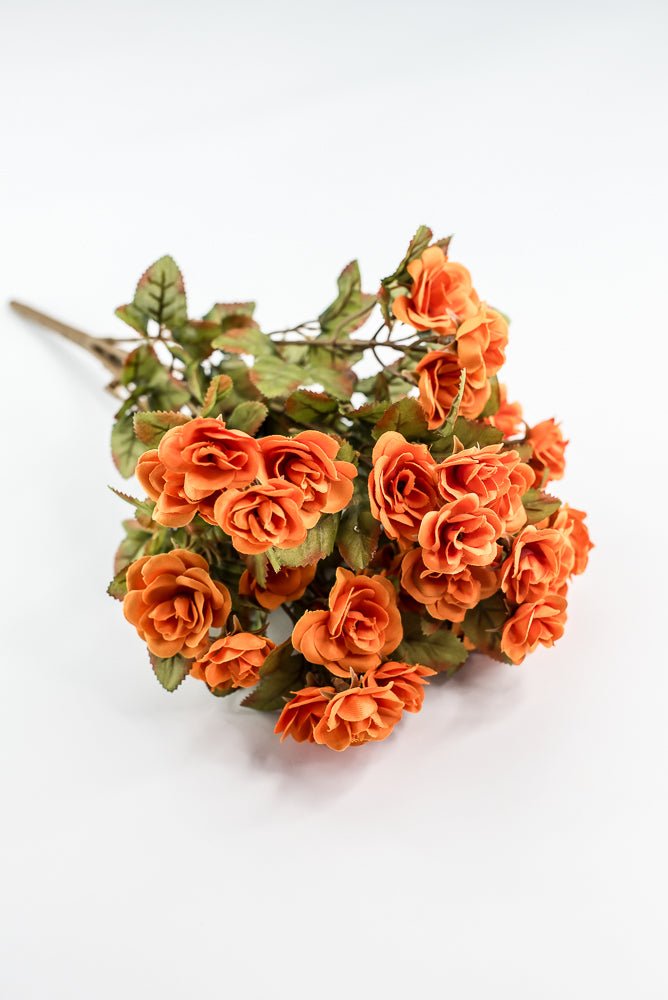 Mini Rose Bush - Orange - Greenery Market85206 - OR
