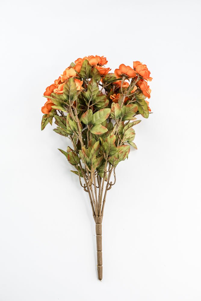 Mini Rose Bush - Orange - Greenery Market85206 - OR