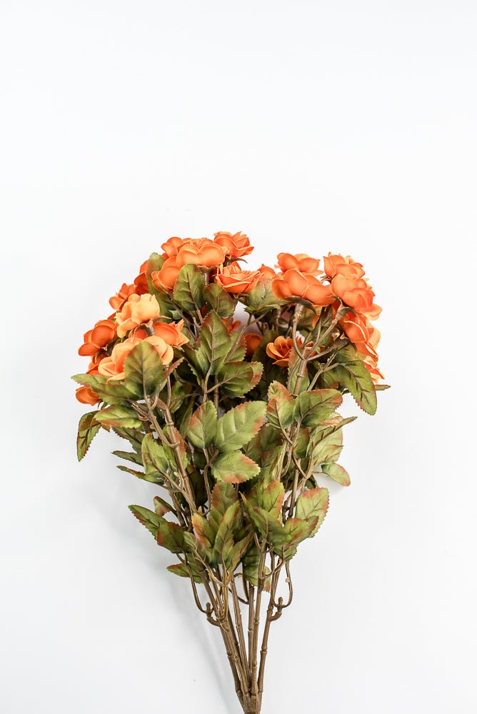 Mini Rose Bush - Orange - Greenery Market85206 - OR